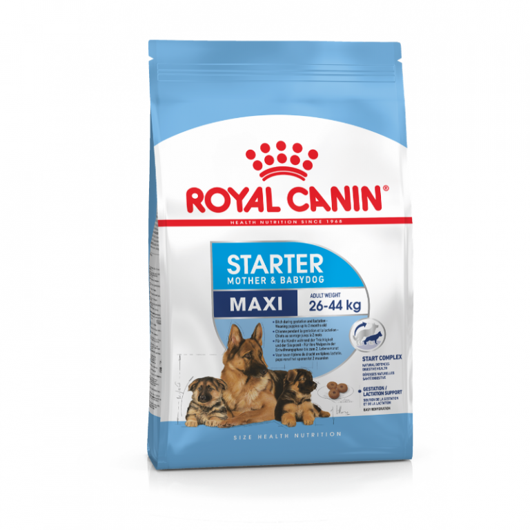 Royal Canin Maxi Starter dog Food
