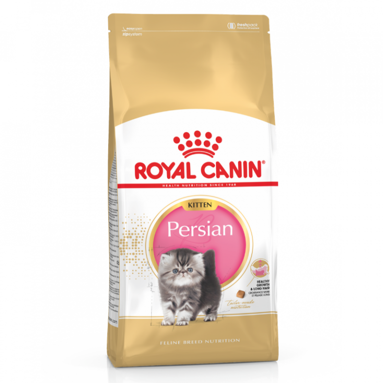 Royal Canin Persian Kitten