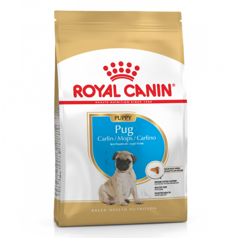 Royal Canin Pug Puppy