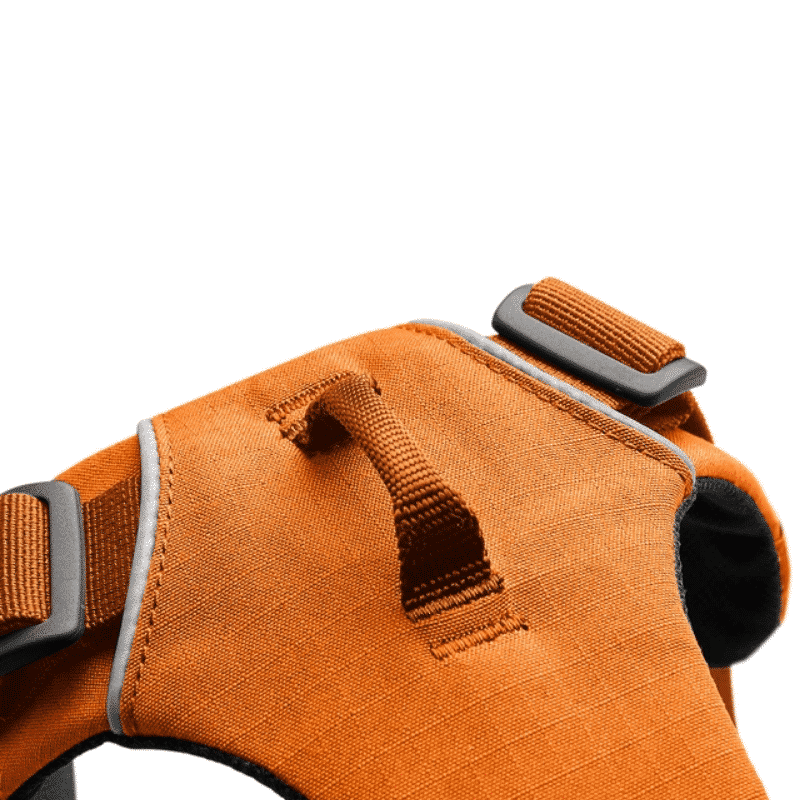 FRONT RANGE HARNESS CAMPFIRE ORANGE 3
